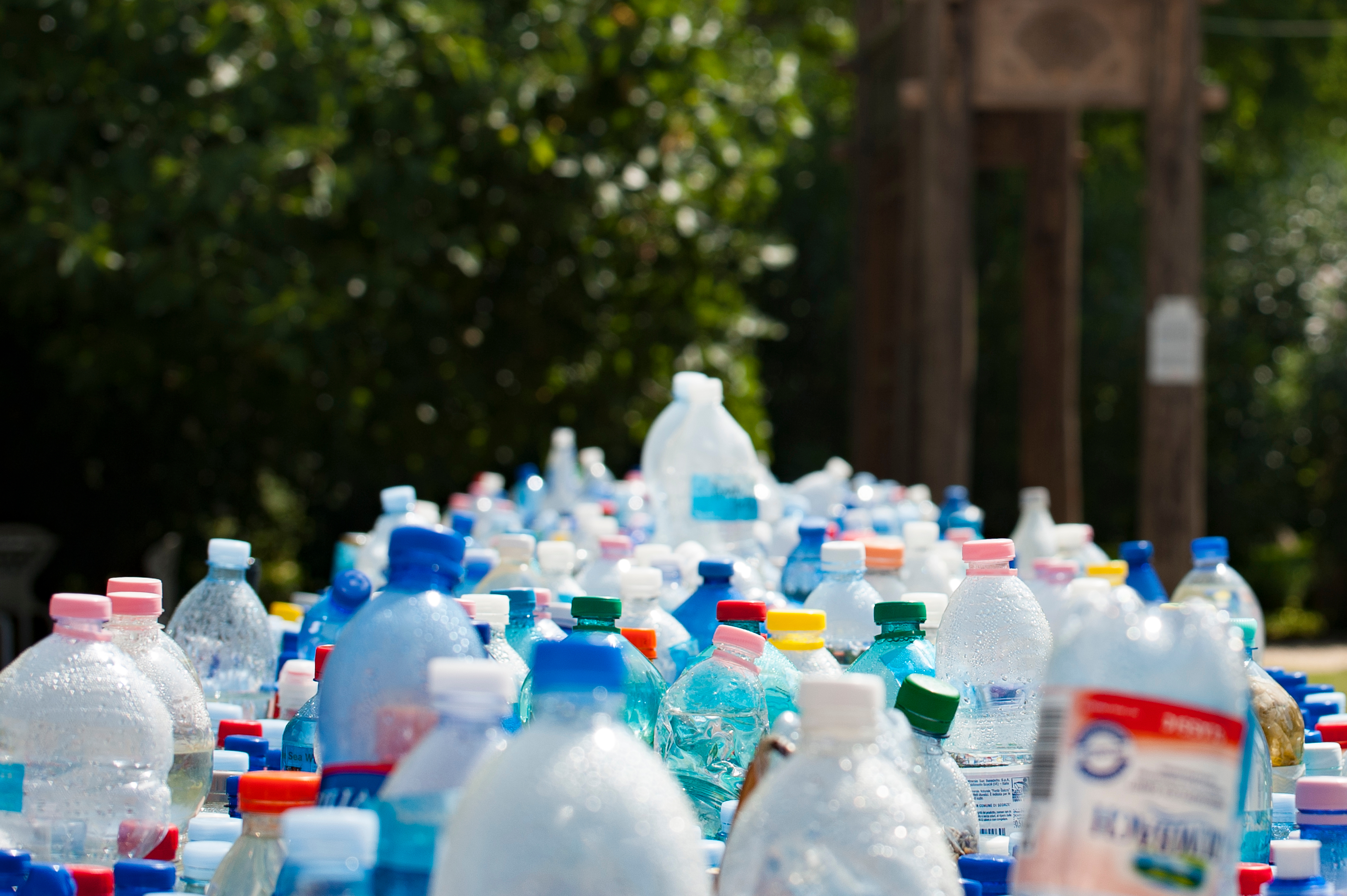 photo of collected plastic bottles